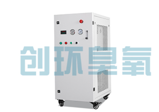 鹤岗石斑鱼养殖水质调控完整指南:臭氧发生器配置与操作步骤