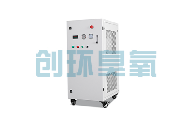 鹤岗比传统换水更高效?臭氧发生器在石斑鱼养殖中的水质净化原理解析
